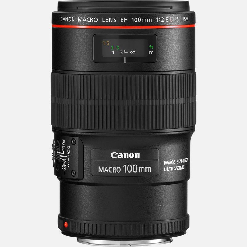 Canon EF 100mm f/2.8L Macro IS USM Lens