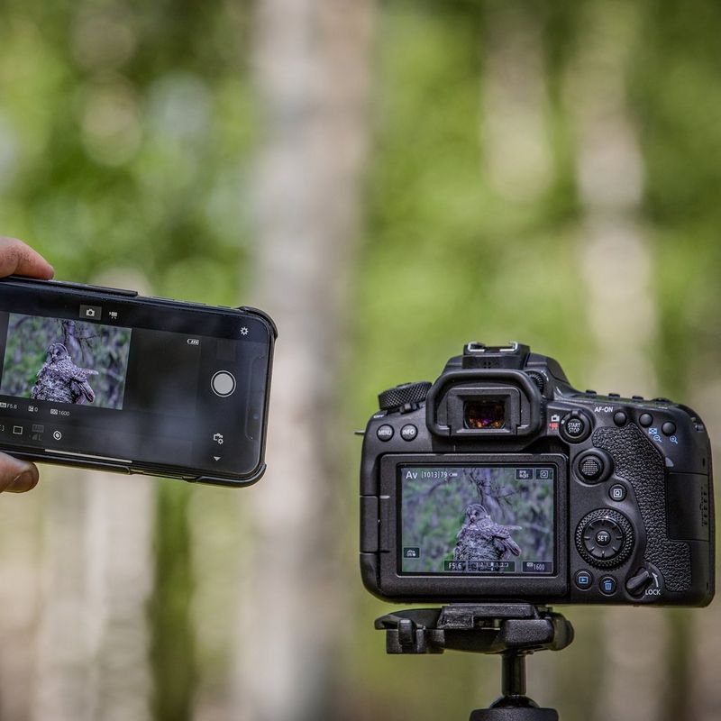 Canon EOS 90D + objectif EF-S 18-55mm IS STM Vue arrière avec photo sur l'écran et le téléphone