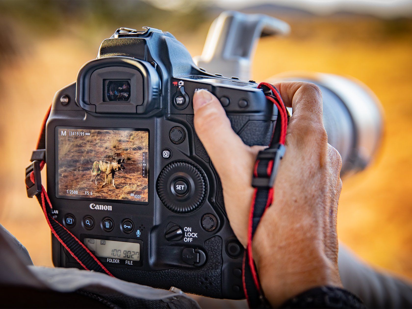 Canon EOS 1DX Mark3 通販