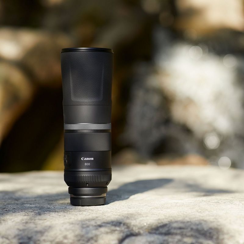Canon RF 800mm F11 IS STM Lens The Lens on a Rock