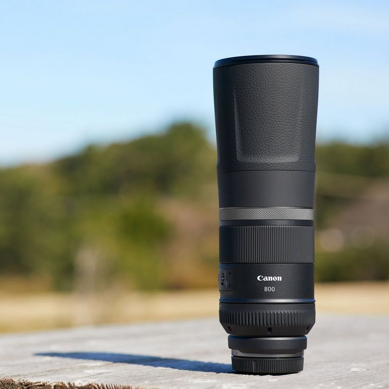 Buy Canon RF 800mm F11 IS STM Lens — Canon UK Store