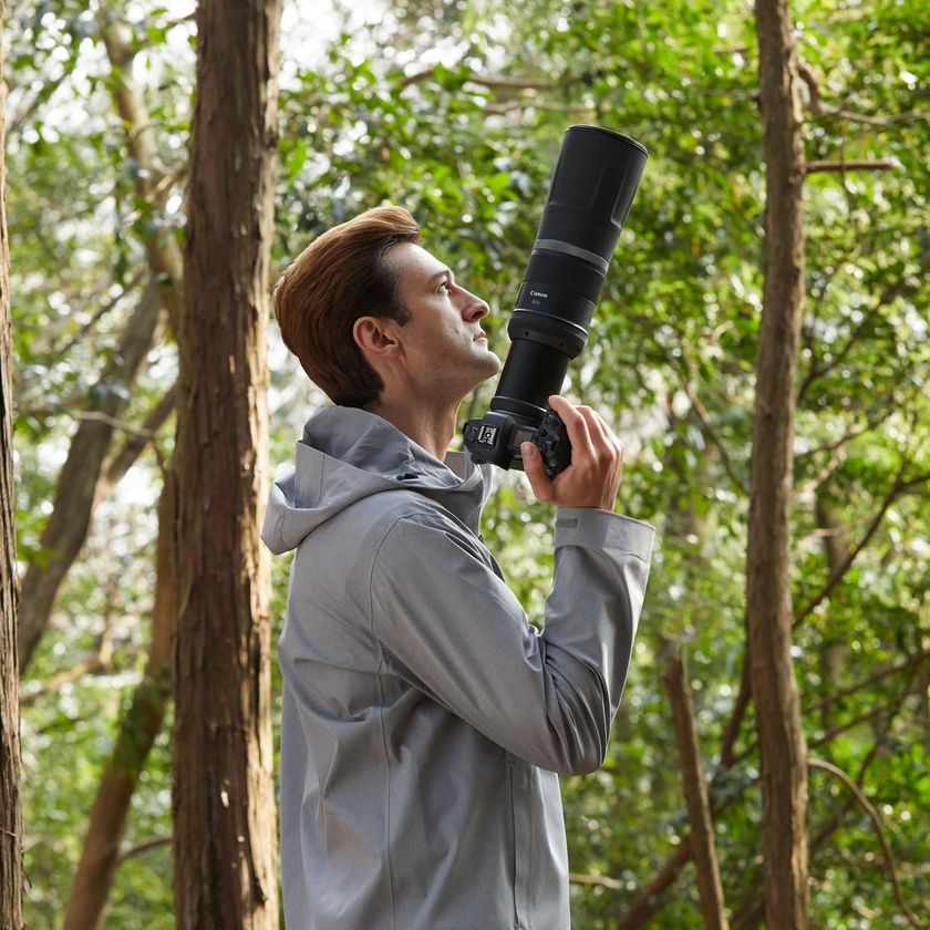 Buy Canon RF 800mm F11 IS STM Lens — Canon Norge Store Buy Canon RF 800mm F11 IS STM Lens — Canon Norge Store
