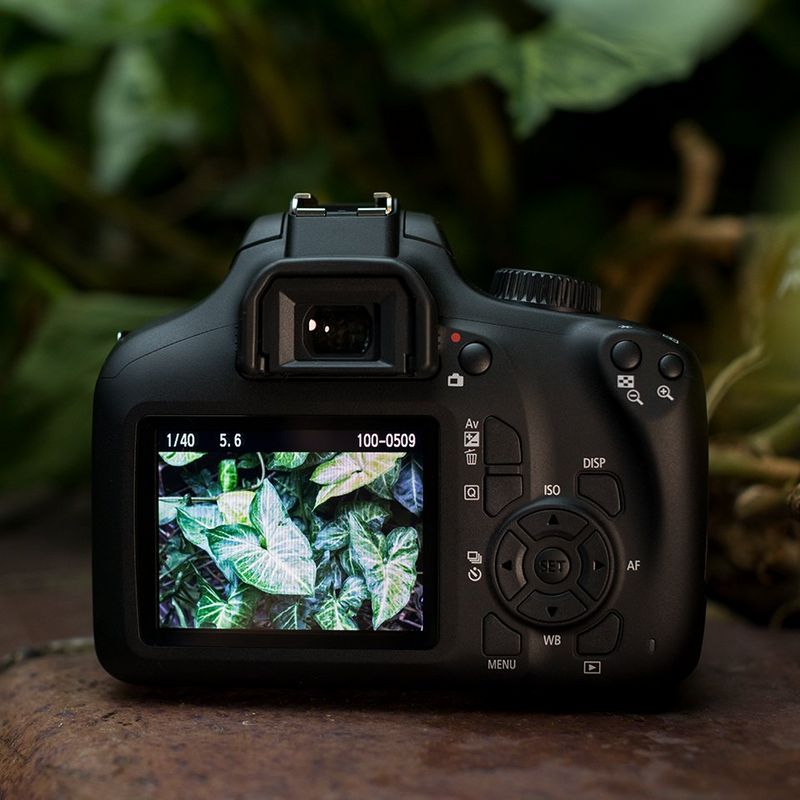 Hãy khám phá thế giới với Canon EOS 4000D - một chiếc máy ảnh DSLR đáng mong đợi nhất. Với khả năng chụp ảnh chuyên nghiệp, chất lượng hình ảnh sắc nét, chiếc máy này phù hợp cho cả người mới bắt đầu và chuyên gia.
