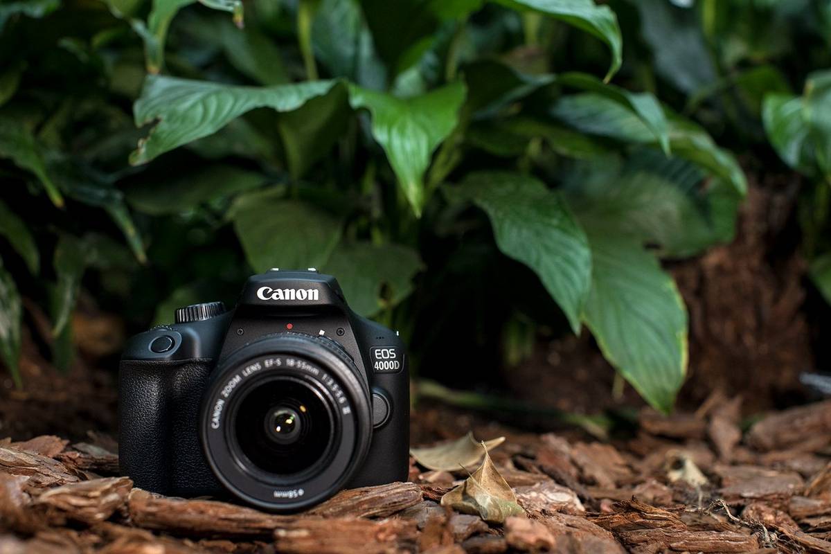 Canon EOS 4000D - Cameras - Canon