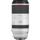 Canon RF 100-500mm F4.5-7.1L IS USM-lens