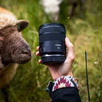 Canon RF 85mm F2 Macro IS STM Lens The Lens with a Sheep