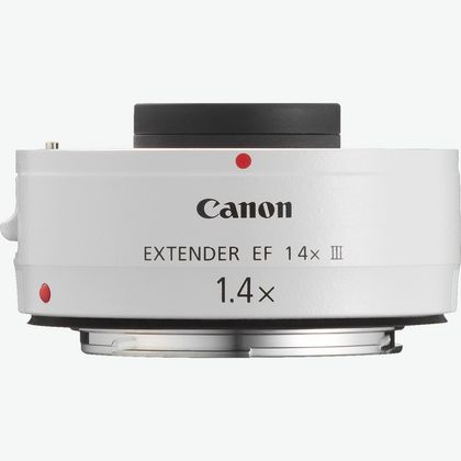 Canon teleobjetivo de enfoque único EF300mm F2.8L IS II USM tamaño completo  correspondiente - Versión internacional (sin garantía)
