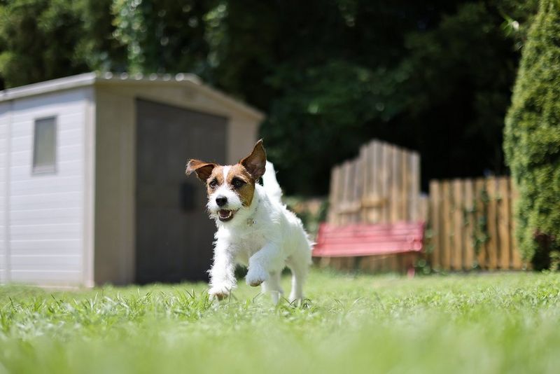 Canon RF 50mm F1.8 STM Objektiv Beispiel 2