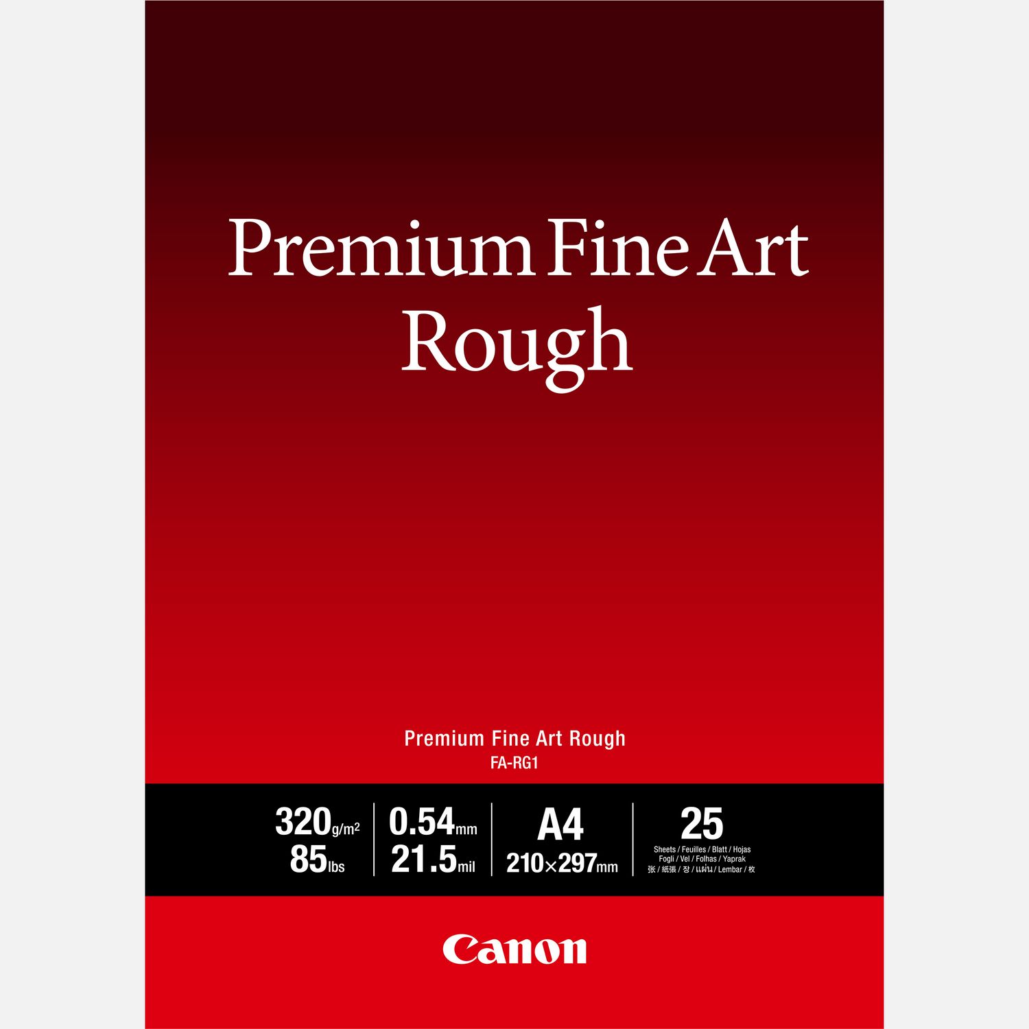 Papier A4 beaux-arts texturé Premium Canon FA-RG1, 25 feuilles