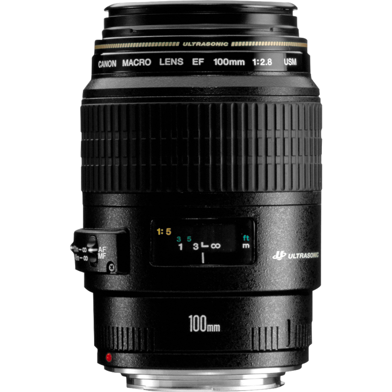 Canon EF 100mm f/2.8 Macro USM Lens