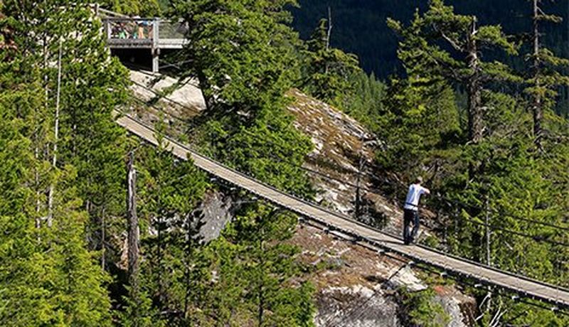 Landscape traveling bridge