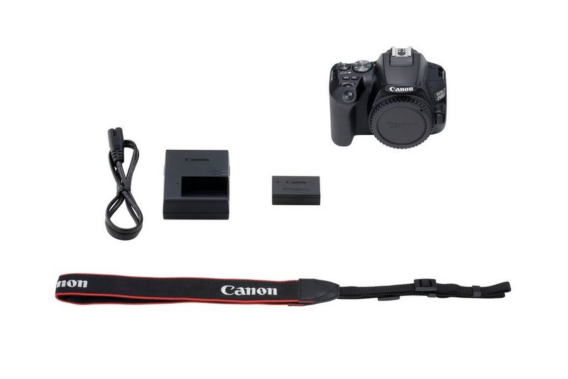 Canon EOS 250D desde 549,00 €, Febrero 2024