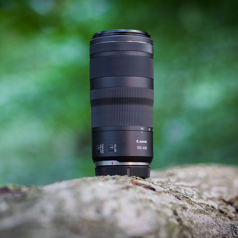 Canon RF 100-400mm F5.6-8 IS USM Lens The Lens on a Tree Trunk