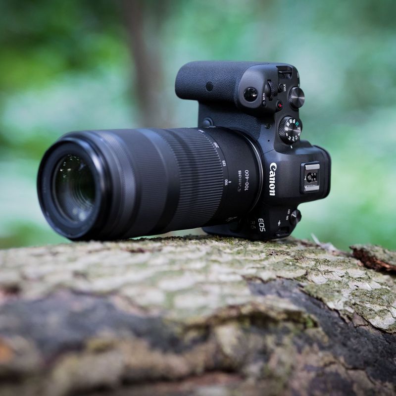 Canon RF 100-400mm F5.6-8 IS USM Lens A Camera with the Lens on a Tree Trunk