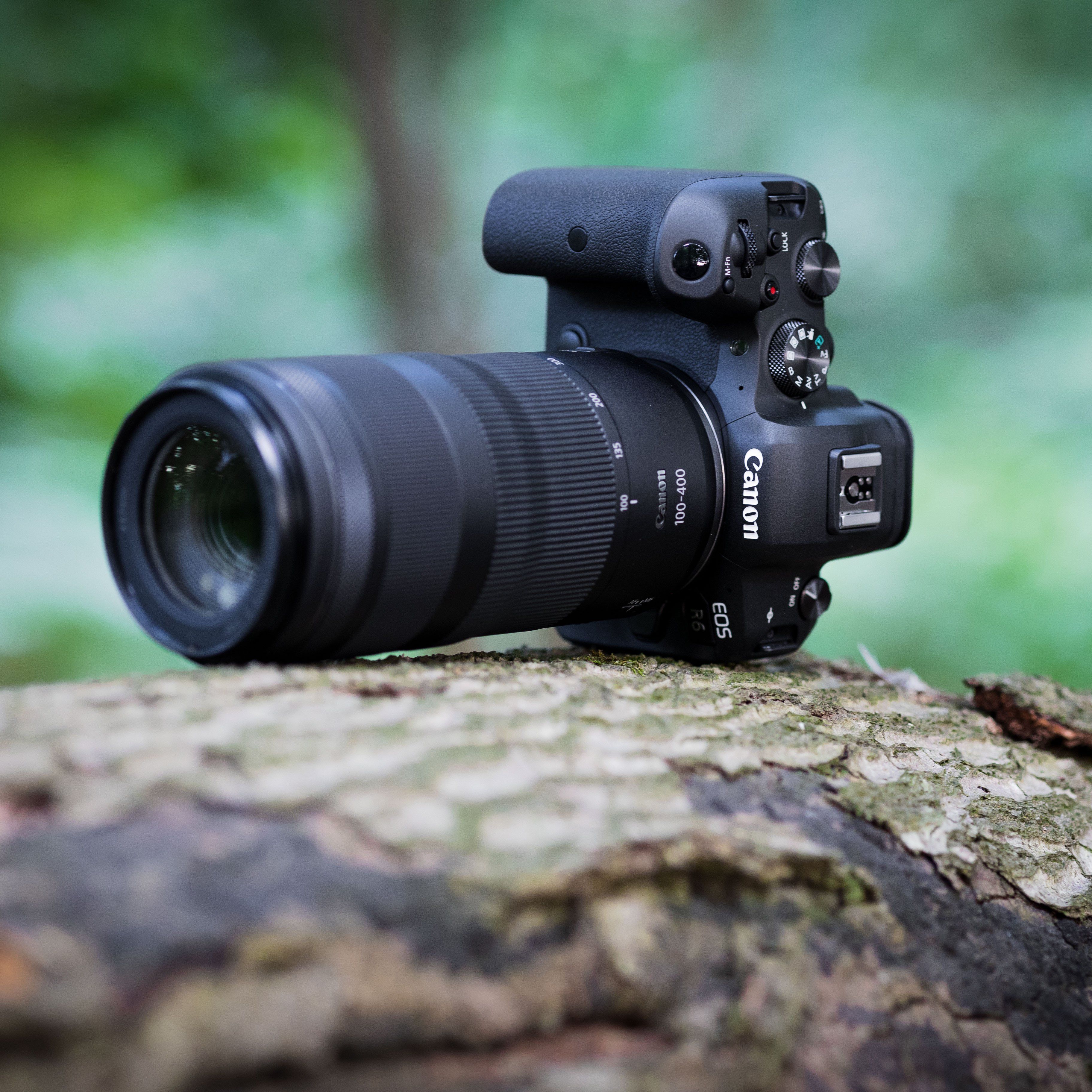 Canon RF 100-400mm F5.6-8 IS USM-lens — Canon Belgie Store Canon RF 100-400mm F5.6-8 IS USM-lens — Canon Belgie Store