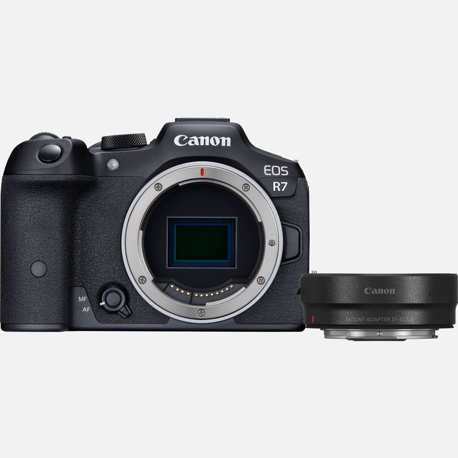 Die Canon EOSR7 ist eine fortschrittliche spiegellose Kamera des EOSR Systems fr Foto-Begeisterte, die ihre kreativen Mglichkeiten erweitern mchten. Dieses DSLR-Upgrade ist sehr schnell  ideal fr die Sport- und Naturfotografie , und der APS-C-Sensor bietet dir eine grere Reichweite, die weit entfernte Motive nher heran holt. Als Hybridkamera ermglicht die EOSR7 4K/30p Videoaufnahmen in hervorragender Qualitt (Oversampling von 7K) und einen flssigen 4K/60p Modus, mit dem Bewegungen erstklassige dargestellt werden. Der kamerainterne Bildstabilisator arbeitet mit dem optischen IS des Objektivs zusammen und sorgt fr flssige Videos und Fotos bei Belichtungszeiten, die 7 Stufen lnger als blich sein knnen. Hybrid-Fotografen werden auch von unserem Dual Pixel CMOS AFII mit Deep-learning begeistert sein, der Motive verfolgt und scharf hlt.  Vorteile      Einfhrungsangebot mit Canon Adapter EF-EOSR: Damit kannst du ganz einfach von deiner DSLR aufrsten: Im Lieferumfang befindet sich der Canon Adapter EF-EOSR. Damit kannst du die vorhandenen EF und EF-S Objektive von deiner DSLR verwenden und erhltst so mit der EOSR7 die gleiche Qualitt, Leistung und Funktionalitt. Vorbehaltlich der Verfgbarkeit und nur whrend der Markteinfhrung von Canon EOSR7 und EOSR10          Bei der Action-, Sport- und Wildlife-Fotografie begeistert die EOSR7 mit der Fhigkeit, sich schnell bewegende Motive mit ihrem Deep-learning Dual Pixel CMOS AFII Fokussystem zu verfolgen  Menschen, Fahrzeuge und Tiere, einschlielich Vgel im Flug          Die EOS R7 ist schnell. Richtig schnell. Fotografiere dynamische Motive mit bis zu 15 B/s im mechanischen Verschlussmodus oder mit bis zu 30 B/s mit dem leisen elektronischen Verschluss  und das alles mit AF und AE, damit jeder flchtige Moment perfekt aussieht          Egal, ob du 32,5-Megapixel-Fotos oder aufwndige 4K-Videos aufnimmst, diese spiegellose APS-C-Kamera bietet ein ideales Gleichgewicht zwischen Detailgenauigkeit und Low-Light-Eigenschaften mit einer maximalen Empfindlichkeit von ISO 32.000          Auch fr Videoaufnahmen bietet die Kamera zahlreiche Optionen. Du hast die Wahl: Hochwertiges 4K/30p Material, das aus Oversampling der 7K-Sensordaten erstellt wird, oder 4K/60p fr flssige Bewegungen. Canon Log 3 gewhrleistet die volle Kompatibilitt mit deinem Bearbeitungs-Workflow und ermglicht eine einfache Farbkorrektur          Durch den APS-C-Sensor haben die Objektive ein engeres Sichtfeld als mit einer Vollformatkamera, was die Kamera zu einer groartigen Option fr die Sport- und Wildlife-Fotografie macht. Der Sensor macht die EOSR7 auch zu einer sehr mobilen spiegellosen Kamera          ber das integrierte WLAN teilst du die Inhalte mit deinen Followern schnell und einfach. Kopple die Kamera mit deinem Smartphone oder stelle eine direkte WLAN-Verbindung fr Uploads in die Cloud ber image.canon oder das hochwertige Livestreaming auf YouTube her          Zwei Karten-Slots helfen dir bei der optimalen Organisation der Aufnahmen. Erstelle direkt bei der Aufnahme ein Backup oder speichere Fotos und Videos auf unterschiedlichen Karten. Dank automatischem Wechsel zwischen den Speicherkarten verpasst du keinen Moment          Zum klassischen EOS Design kommen innovative neue Bedienelemente wie ein kombinierter AF-Feld-Auswahl-Schalter und ein Wahlrad. Der OVF-Simulationsmodus hilft beim Umstieg von einer DSLR. Diese EOSR Kamera ist mit RF/RF-S Objektiven kompatibel. EF/EF-S Objektive knnen ber einen Adapter ebenfalls verwendet werden, was sie zu einem ausgezeichneten Upgrade von einer APS-C-DSLR macht          Lieferumfang       EOS R7 Kameragehuse         Bajonettadapter EF-EOS R         Kamera-Gehusedeckel R-F-5         Tragegurt ER-EOS R7         Akkuladegert LC-E6E         Akku LP-E6NH         Abdeckung fr Akkufach         Netzkabel         Anleitungen              Technische Daten              Dual Pixel CMOS AF II Der AF erkennt und verfolgt Menschen, Tiere und Fahrzeuge                -5 LW Low-Light-Fokussierung  Przise Fokussierung auch bei wenig Licht                Kombinierter IS  Kombination aus kamerainternem IS und optischem Objektiv-IS fr bis zu 7 Belichtungsstufen (bei einigen RFObjektiven sogar 8 Belichtungsstufen)                15 B/s mit mechanischem Verschluss, 30 B/s mit elektronischem Verschluss  15 B/s fr hochwertige, schnelle Aufnahmen und 30 B/s fr schnelle, leise Aufnahmen                32,5 Megapixel APS-C-Sensor  Das ausgewogene Verhltnis zwischen Auflsung, Geschwindigkeit und Low-Light-Eigenschaften                Fotos mit bis zu ISO 32.000. Video bis ISO 12.800  Erweiterbar auf ISO 51.200 (Fotos) und ISO 25.600 (Videos)                4K/30p und 4K/60p  Hochwertige 4K/30p-Videos mit Oversampling von 7K und 4K/60p fr eine flssige Wiedergabe von Bewegungen                image.canon  Direkte WLAN-Verbindung fr Uploads in die Cloud                YouTube Livestreaming  Livestreaming auf deinem YouTube Kanal                EVF mit 2,36 Mio. Bildpunkten  60 oder 120 B/s Bildwiederholungsrate whlbar                Dreh- und schwenkbares 7,5 cm Touchscreen-Display mit 1,62 Mio. Bildpunkten  Fr Aufnahmen aus ungewhnlichen Blickwinkeln                DIGIC X Prozessor  Reaktionsschnelle Steuerung und minimierte EVF-Verzgerung          Alle technischen Daten zeigen