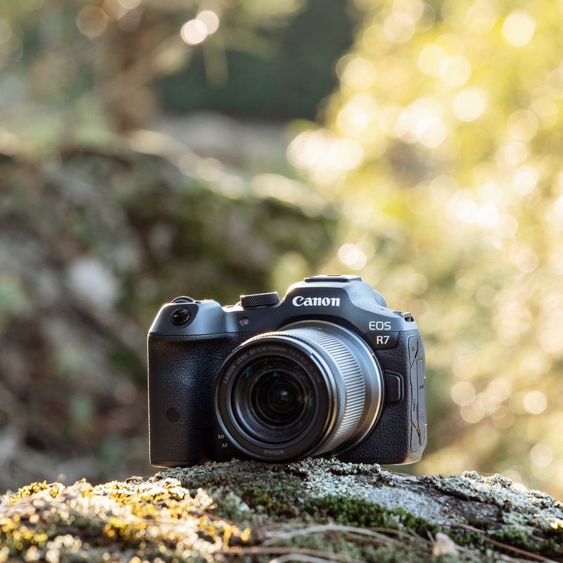 5137C017_EOS-R7_Ambient_16