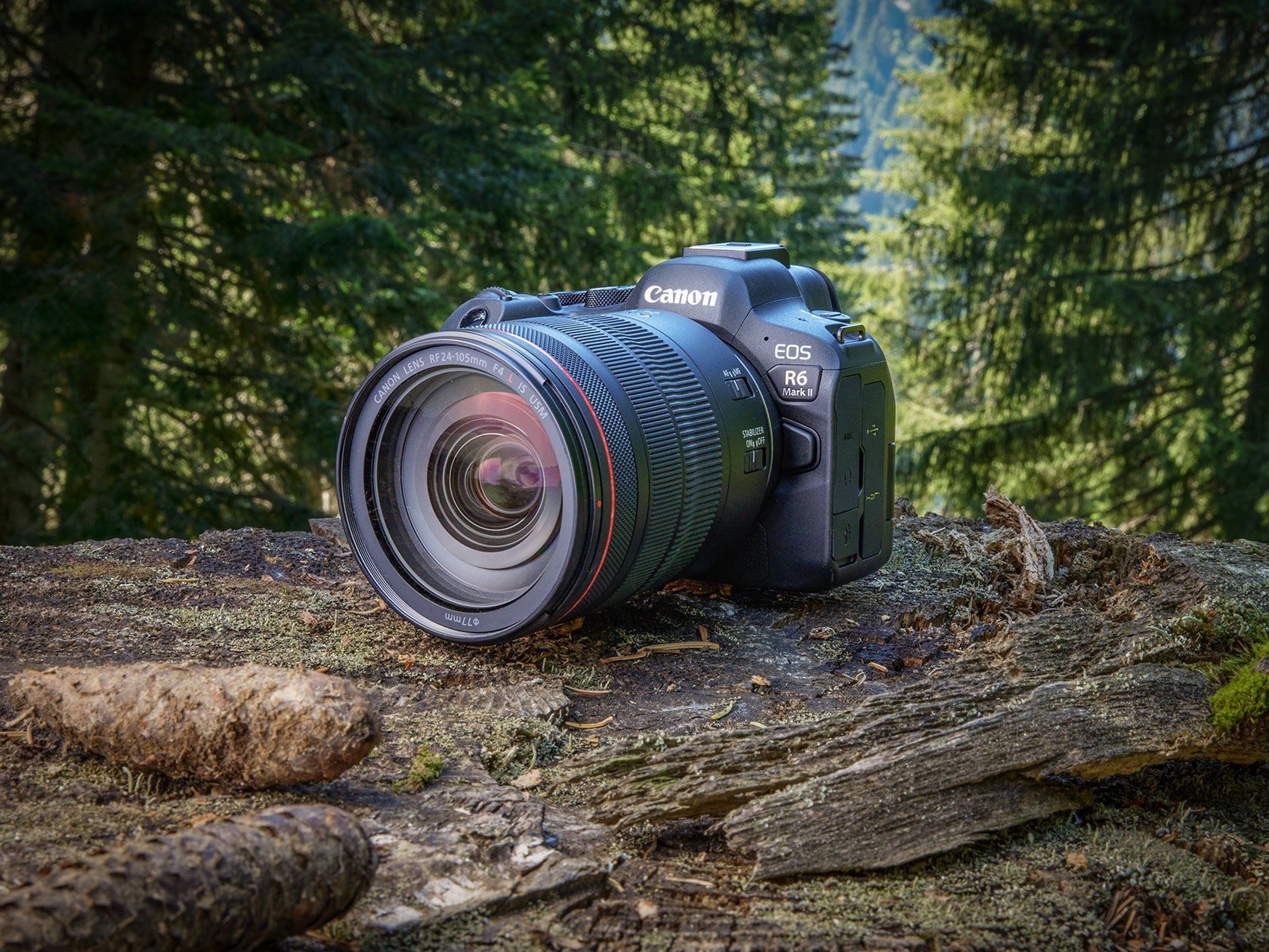  Canon EOS R6 Full-Frame Mirrorless Camera + RF24-105mm F4 L is  USM Lens Kit (Renewed) : Electronics