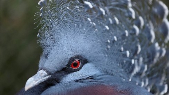 6 tips to improve your wildlife photography