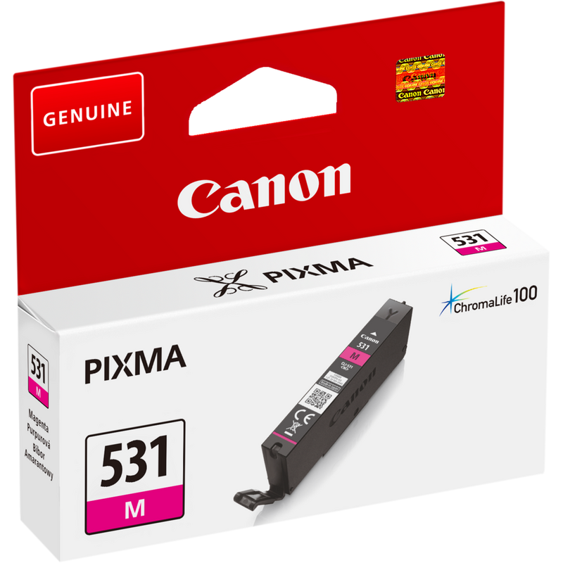 CANON ENCRE CLI-531 GRIS | eBay
