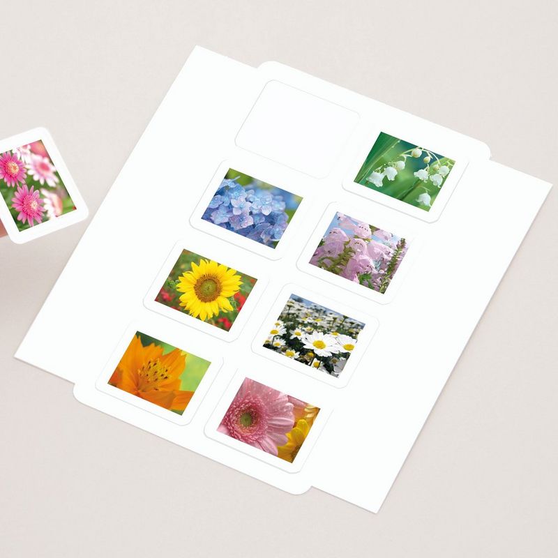 Canon SELPHY Creative Kit for CP series Product Front View with multiple photos