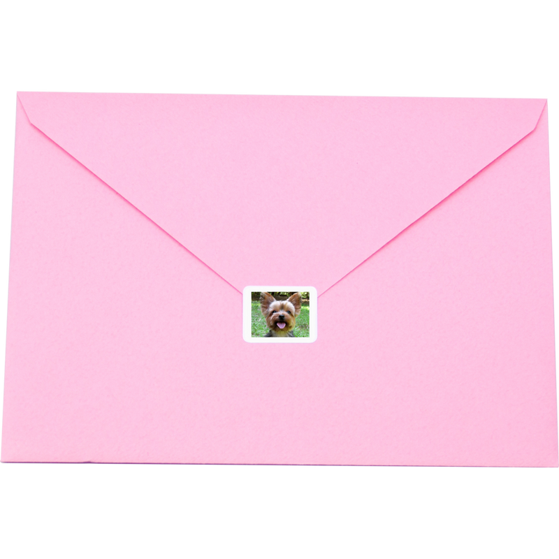 Canon SELPHY Creative Kit for CP series Back of Envolope with small dog sticker