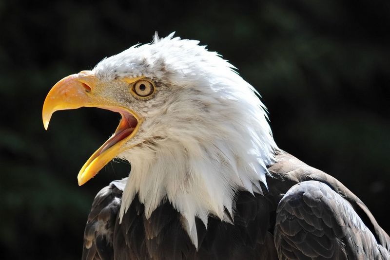 6263C005_RF-200-800mm-F6.3-9_Sample_02
