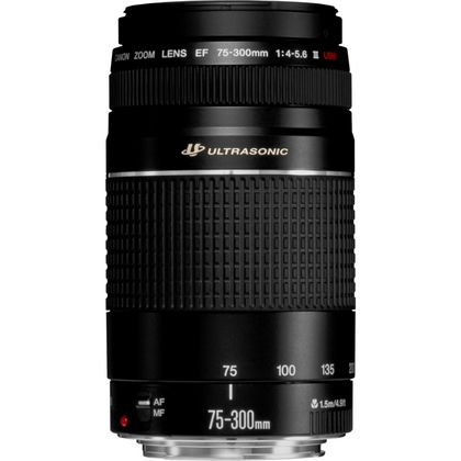 Canon EF 75-300mm f/4-5.6 III USM Lens 6472A002 B&H Photo Video