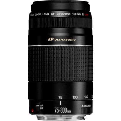 Canon EF 75-300mm f/4-5.6 III USM Lens