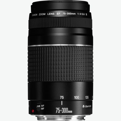 Image de Objectif Canon EF 75-300mm f/4-5.6 III