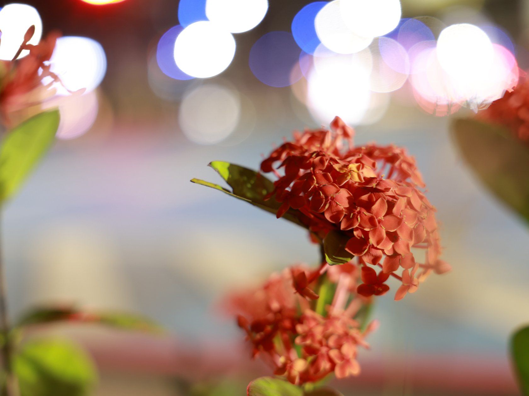 6535C005AA_RF-28-70mm-F2.8-IS-STM_RI_01