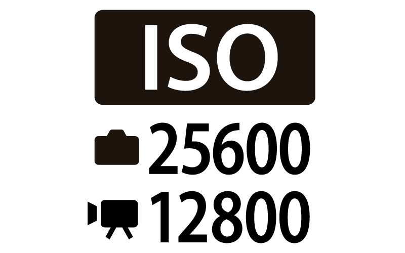 Canon EOS 90D Maksimum ISO 25.600