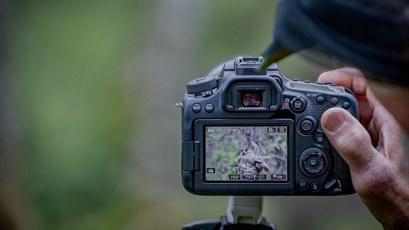 Canon EOS 90D - DSLR Cameras | PixM