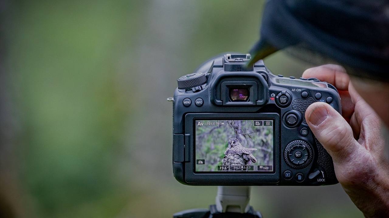 Canon EOS 90D - A Photographers Camera