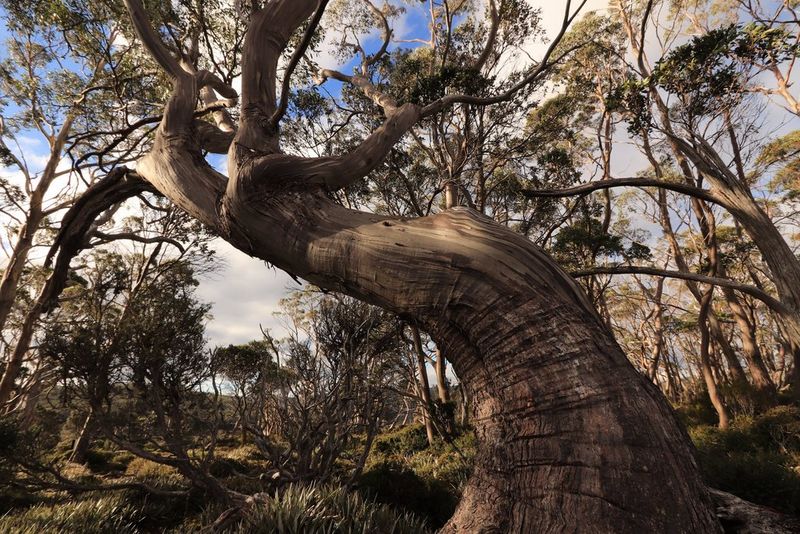 Buy Canon EF-S 10-22mm f/3.5-4.5 USM Lens — Canon UK Store