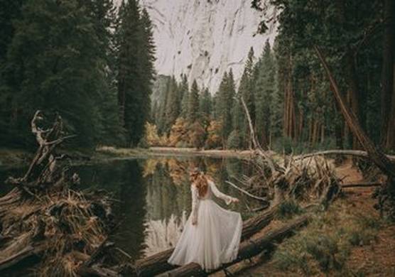 A women with long hair in her wedding dress is balancing on fallen trees on the edge of a forest.