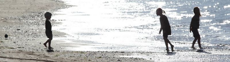 legria family video cameras