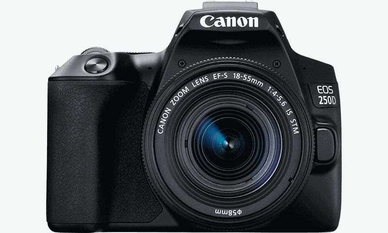 Reflex num riques EOS pour les d butants Canon  France 