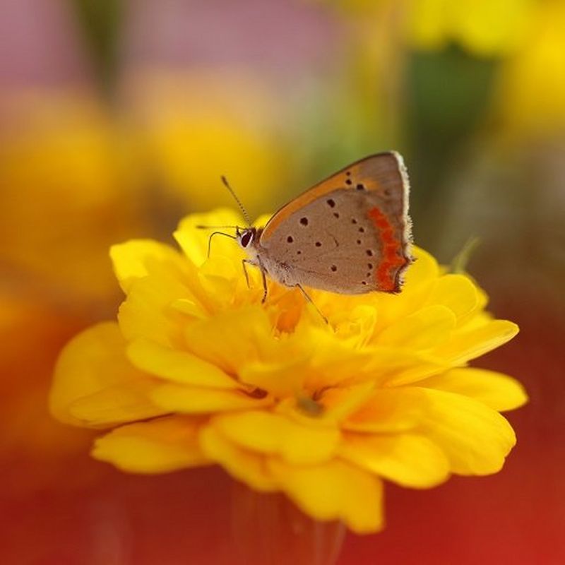 Unleash your creativity with your camera know-how