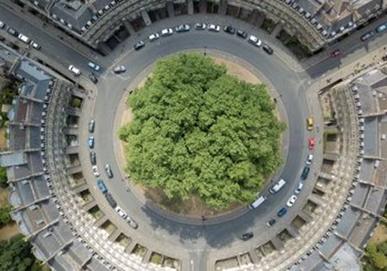 An arial view of a roundabout known as 'The Circus' in Bath, England. The roundabout is covered in trees and the road around it is lined with buildings. There are cars parked on the road. 