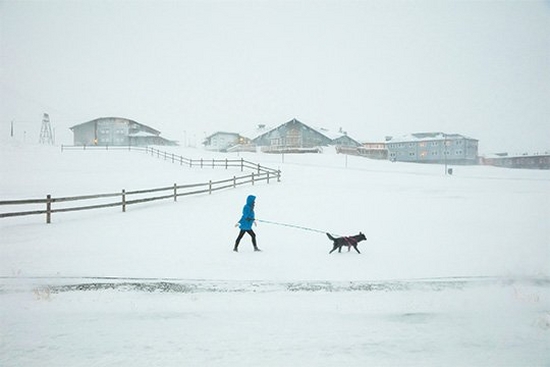 How Guia Besana summed up the Arctic winter in one shot