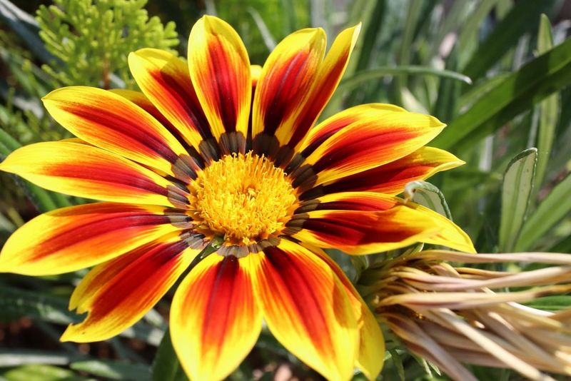 EOS M200 CINC SAMPLE EF-M 22MM