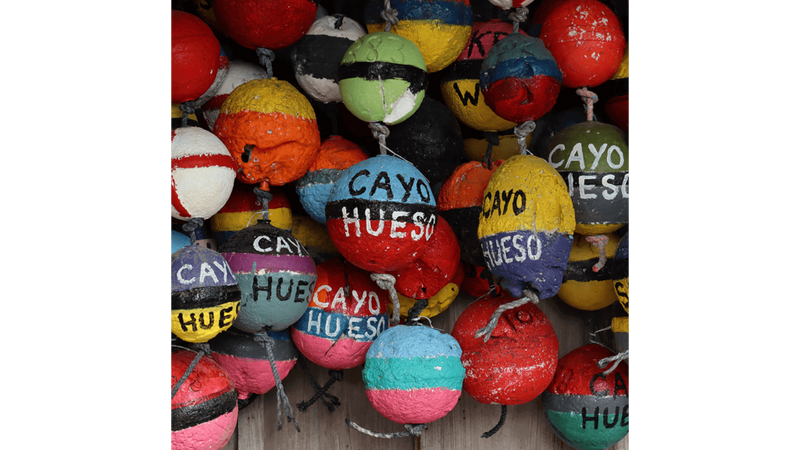 Canon EOS 250D Cameras Canon Europe