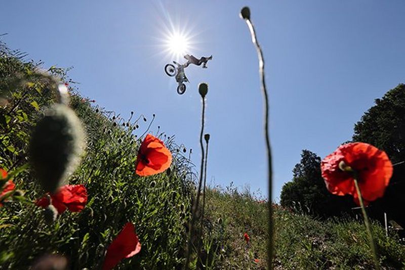 A mountain biker performs a mid-air stunt against the sun. The image is shot from below and framed by red poppies and grasses on the hillside.