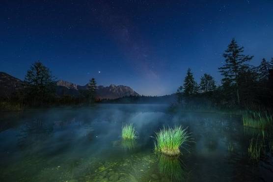 A shimmering lake beneath a starry sky, photographed in low light. In the foreground are two clumps of reeds, in the background a sprawling mountain range. 