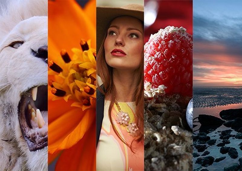 Canon genre photography types