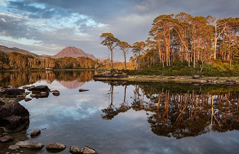 Trees reflect in a lake in Scotland with a mountain in the background