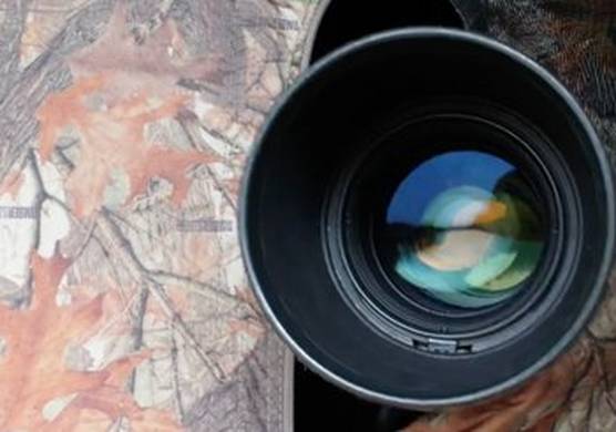A huge camera lens peeks through camouflage.