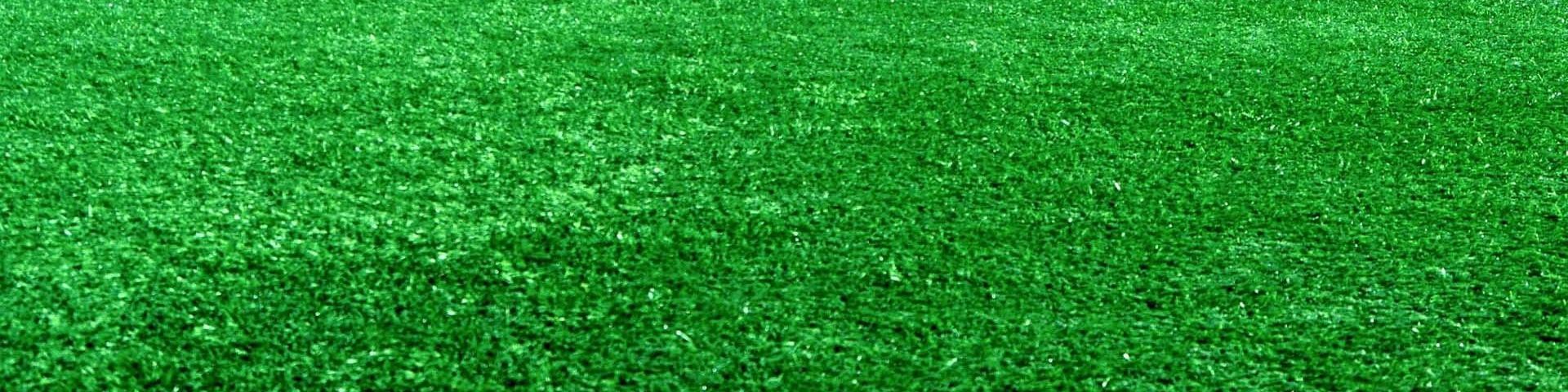 A close-up of the grass on a football pitch.