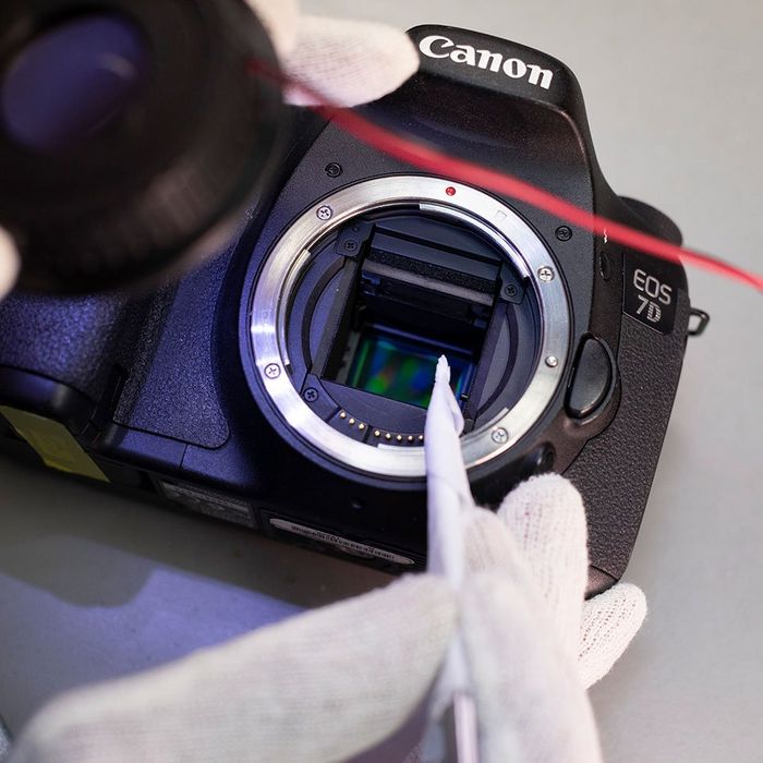 A specialist cleaning the sensor on a Canon EOS camera